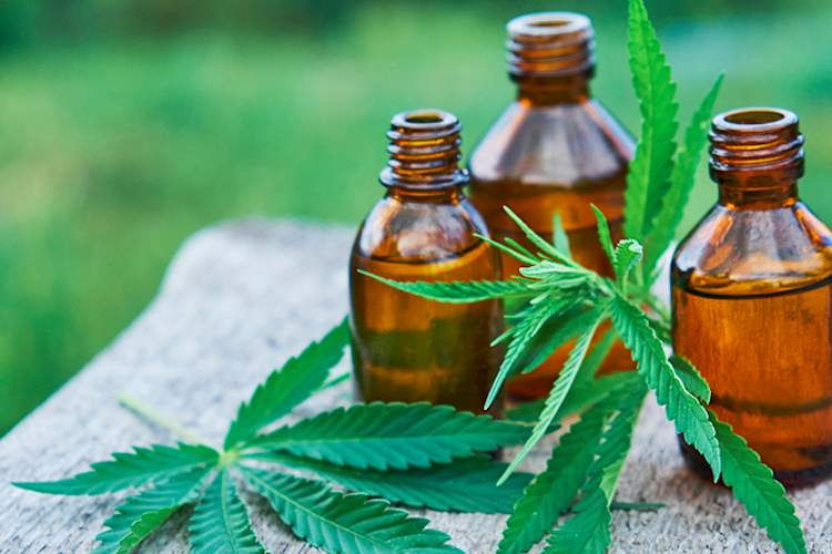 大麻二酚(CBD)油和大麻叶,替代治疗RA疼痛。