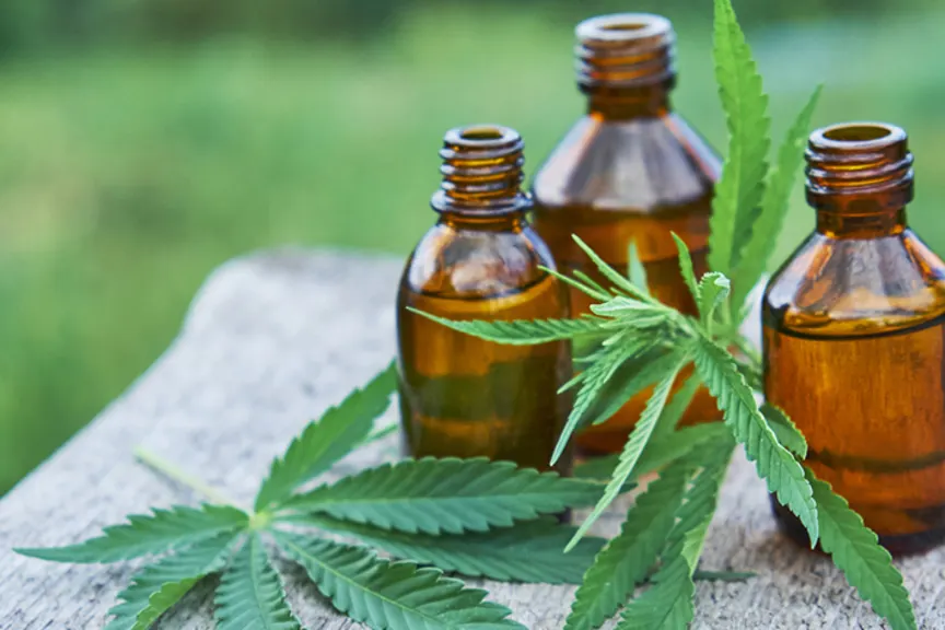 大麻（CBD）油和大麻叶，替代治疗RA疼痛。