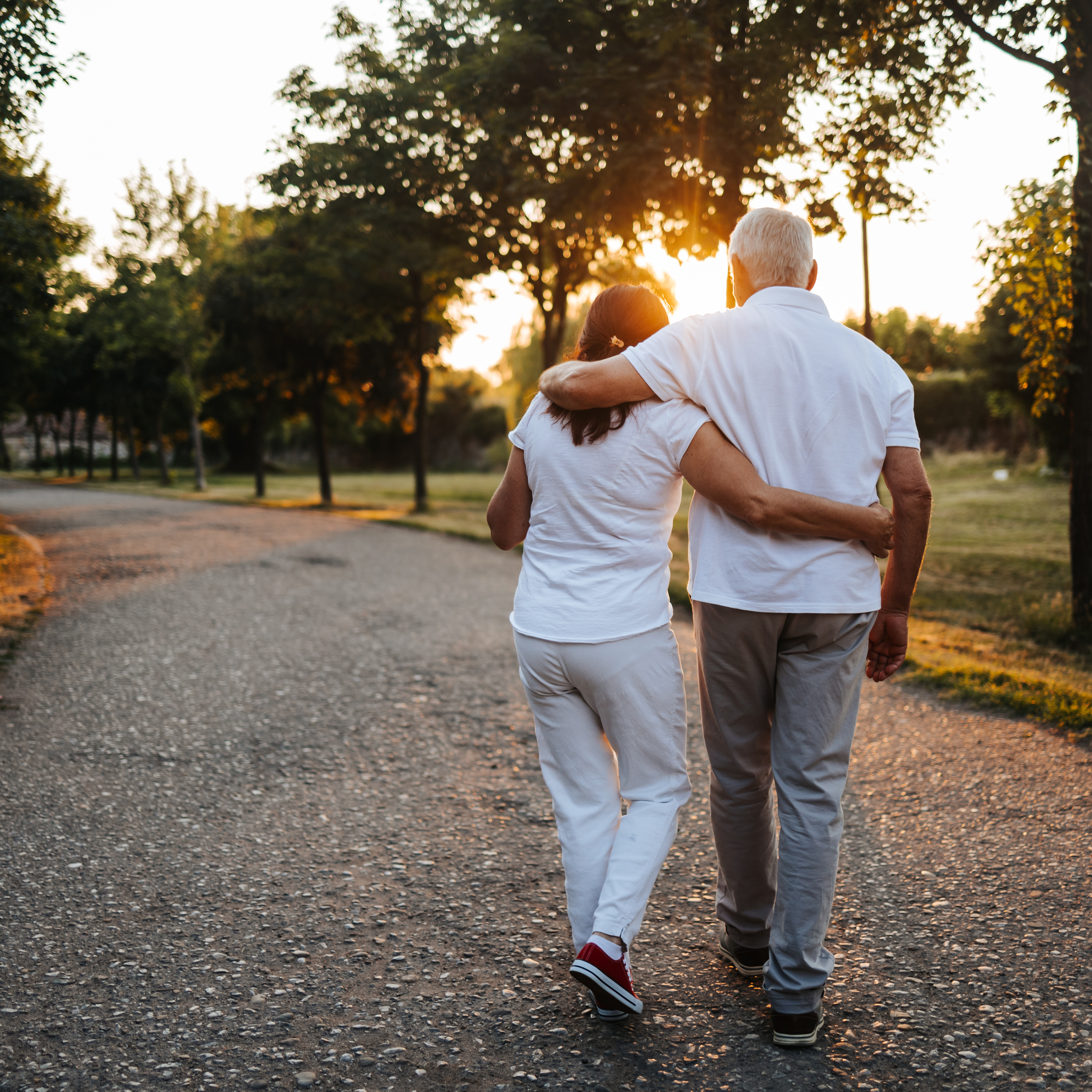 日落时分，一对老夫妇在林荫小道上聊天。