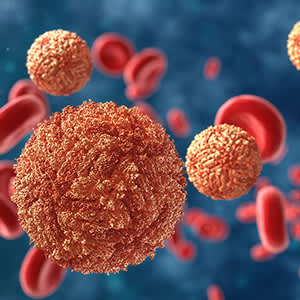 病毒和血细胞图像