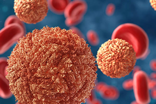 病毒和血细胞图像