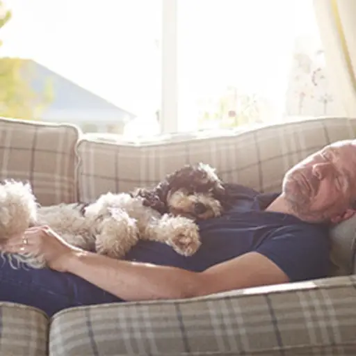 男人和狗狗在家里的沙发上休息。