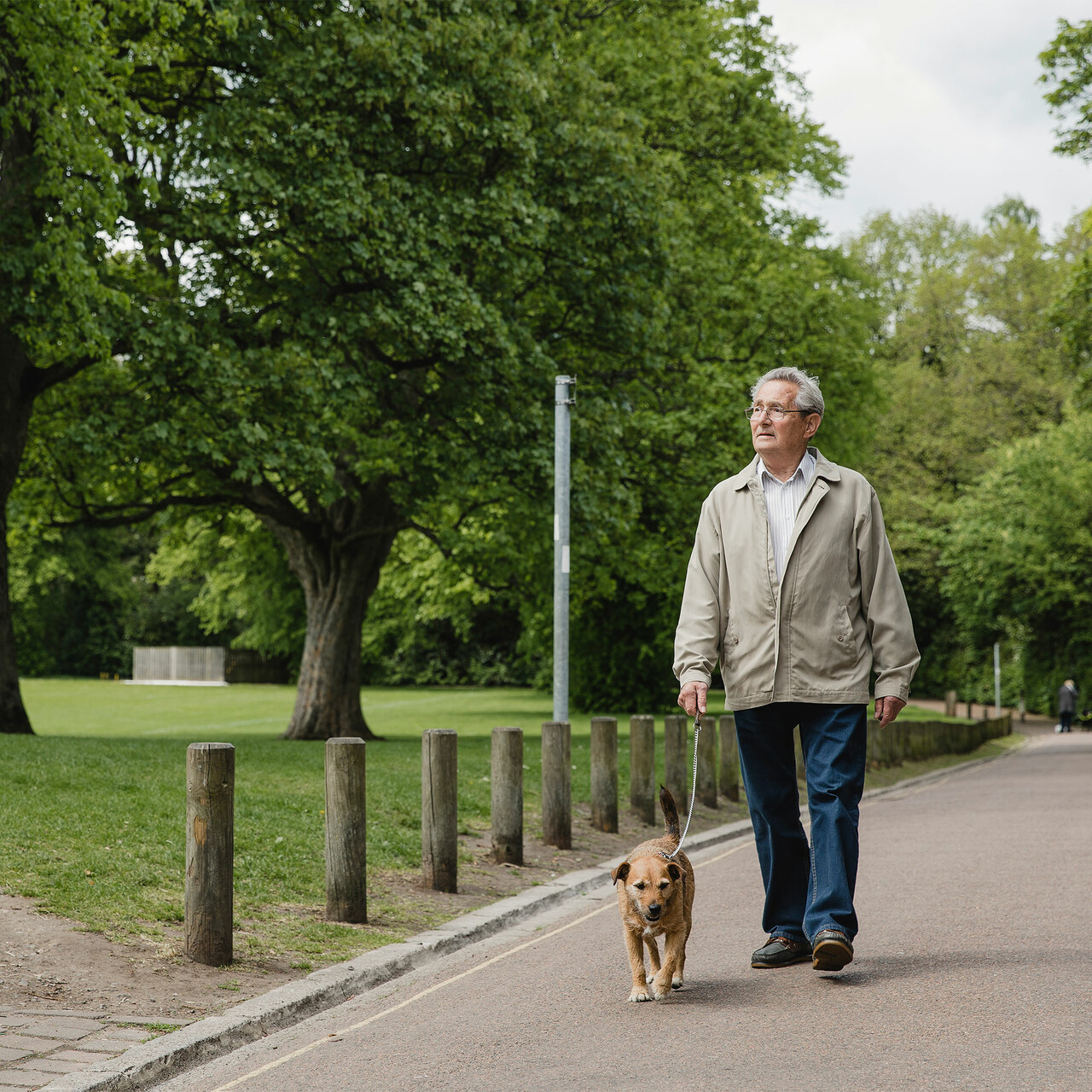 一个人走他的狗在公园外