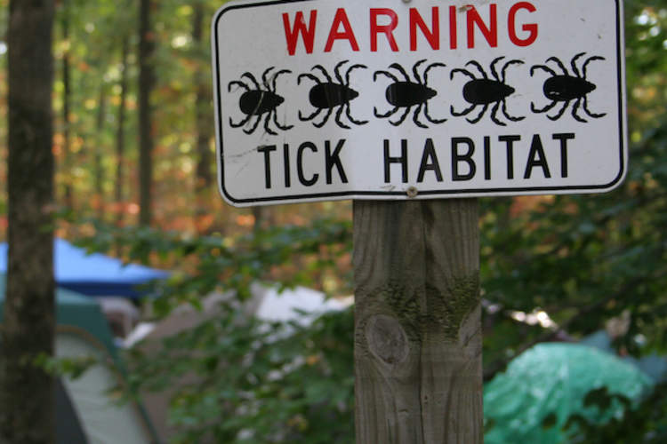 莱姆病:您是否面临风险?
