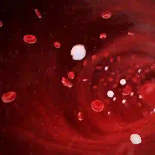 Bloodstream.