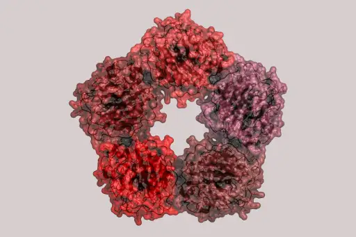c反应蛋白(CRP，人)炎症生物标志物。