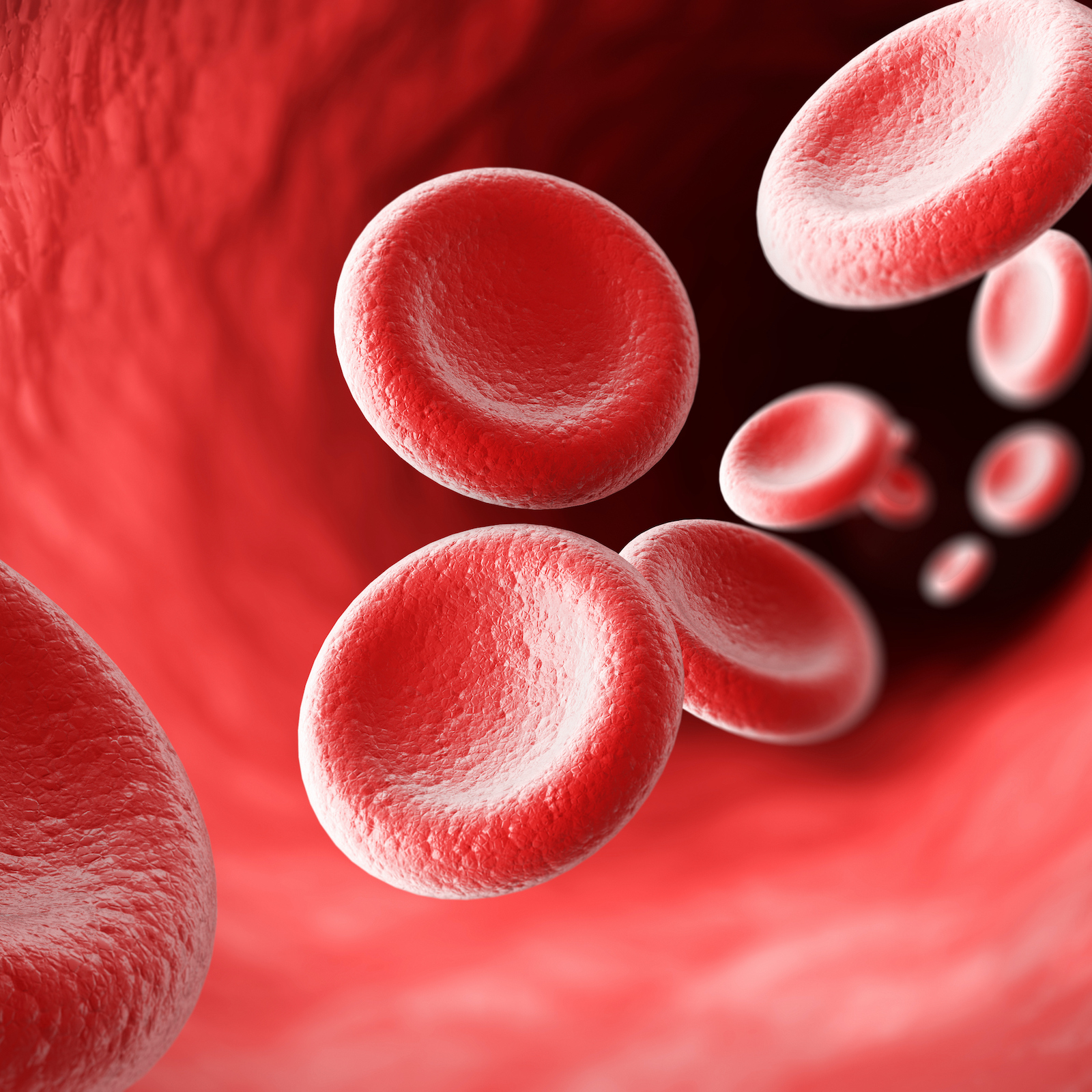红细胞