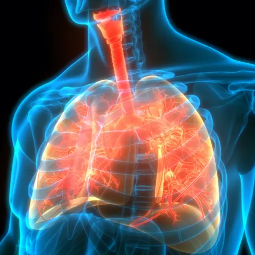 哮喘肺