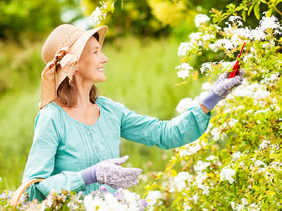 女人修剪花草的花园，而戴着宽边帽。