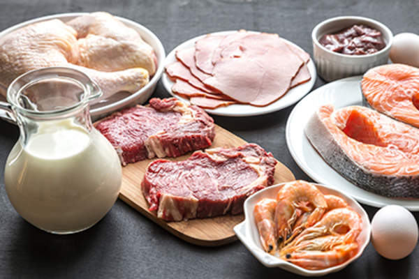 肉、鱼、牛奶和鸡蛋都是蛋白质的来源。