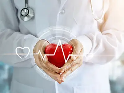 Doctor with stethoscope and red heart shape with icon heartbeat in hands.