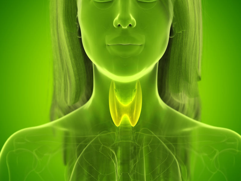 Hashimotos Thyroiditis Symptoms Causes And Treatments