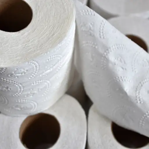 Rolls of toilet paper