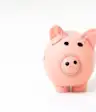 piggy bank on white background