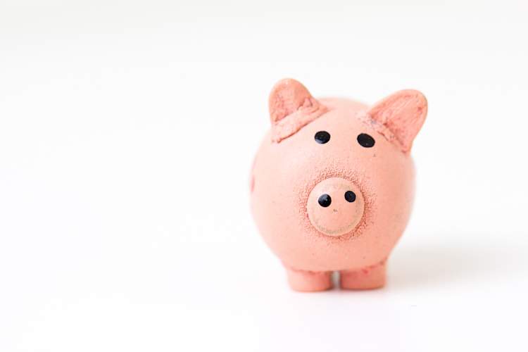 piggy bank on white background