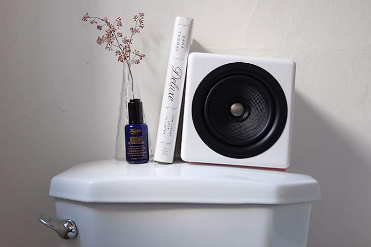 扬声器,鲜花和书籍上厕所的顶部