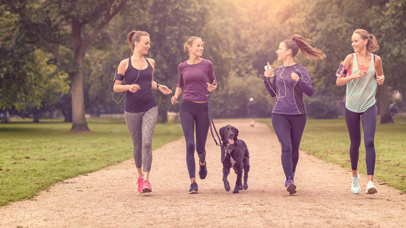 三个女人锻炼，走在公园的狗。