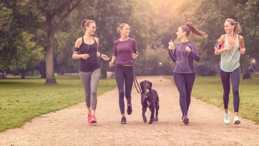 三个女人在公园里锻炼和遛狗。