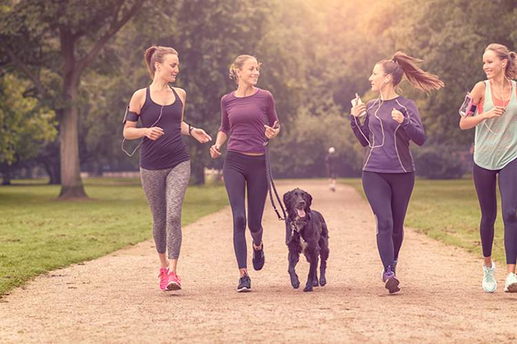 三个女人在公园里锻炼和遛狗。