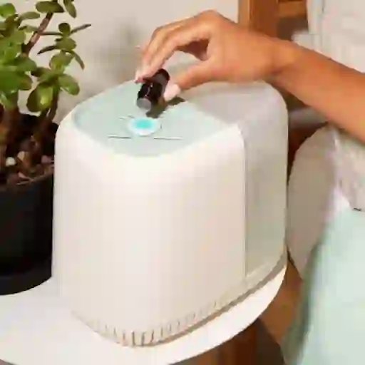 树冠加湿器香气和过滤器
