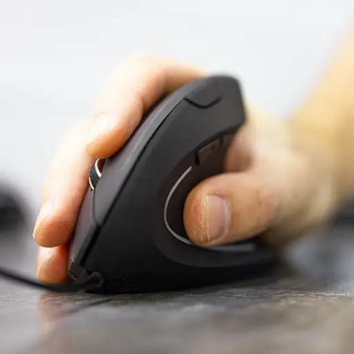 人体工程学小鼠