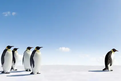 避开企鹅。