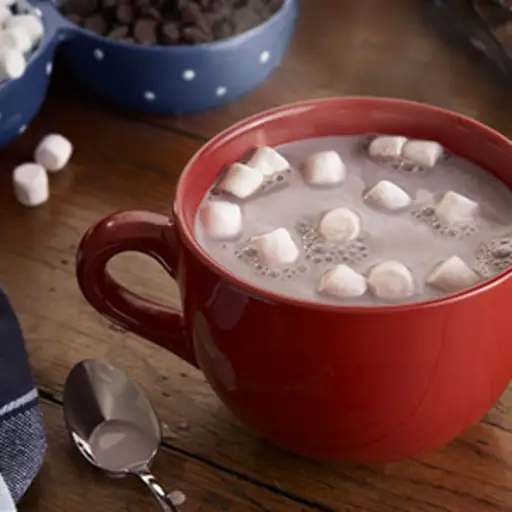 一杯热巧克力加棉花糖。