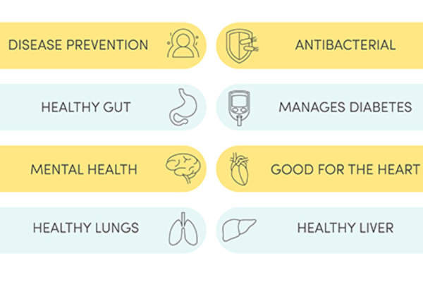 红茶菌图形的健康益处。