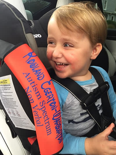 全威在他在紧急情况下的非言语儿童的新安全带,2017年