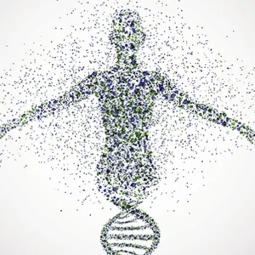 DNA插图。