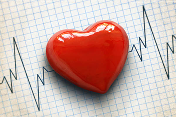 心电图和心脏。