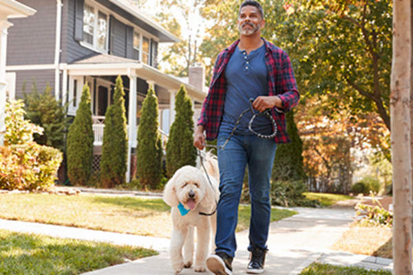 人走狗附近人行道上。