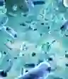 显微细菌