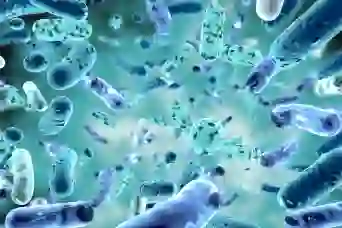 微小的细菌