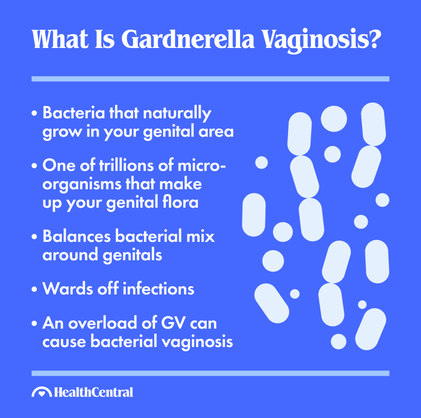What is gardnerella vaginalis? Bacteria that naturally grow in your genital area