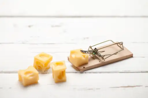 老鼠夹里的奶酪