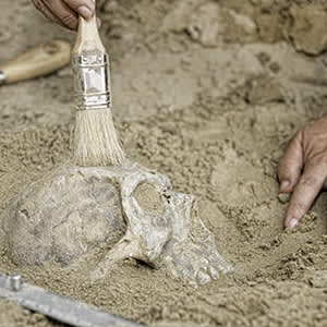 考古发现的骨架。
