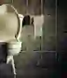 厕所。。。