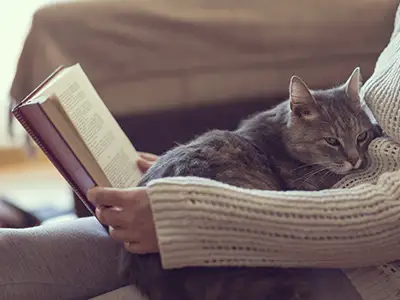 妇女与猫的阅读书在她的膝部。