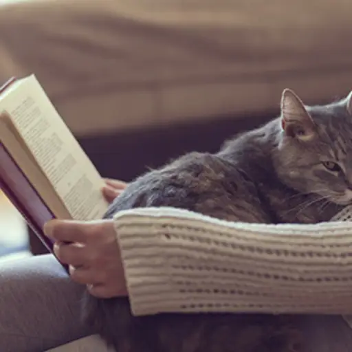 妇女与猫的阅读书在她的膝部。