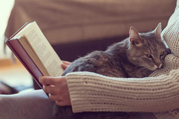 女人正在看书,腿上放着一只猫。