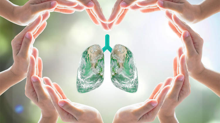 手环心肺模型，健康肺理念。