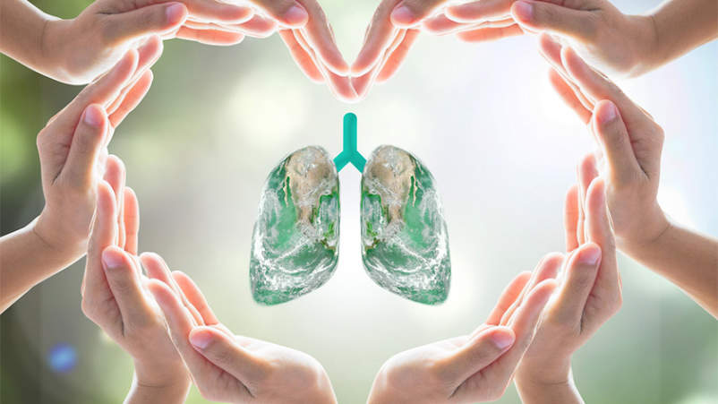 双手在心脏周围肺模型，健康的肺概念。