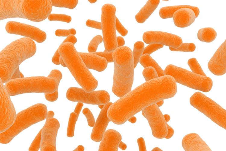 IBD引发获取C. DIFF同样的风险