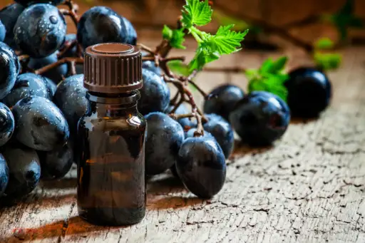 葡萄籽油装在棕色的瓶子里，葡萄串，葡萄藤