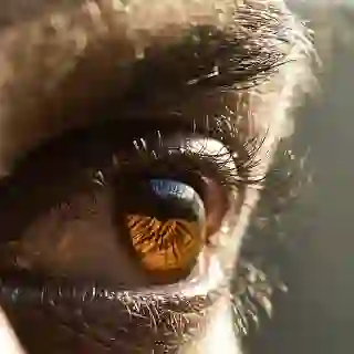 Closeup of human eye