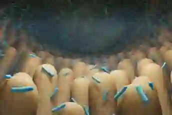 肠道微生物组