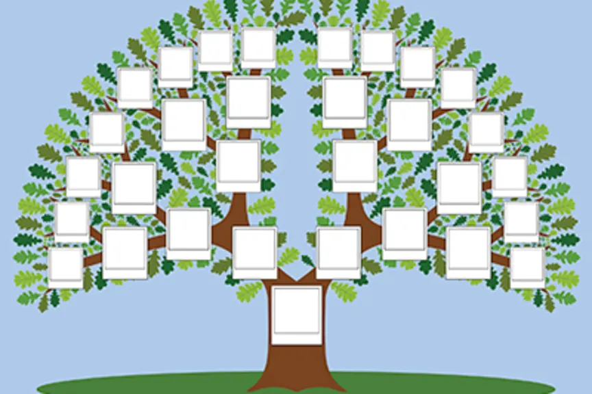 Family tree.