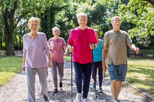 一群老年人在公园里散步。