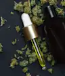 CBD油